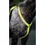 Shires Equi-Flector Hi-Viz Breastplate Bright Yellow
